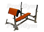 Скамья Скотта + жим штанги ProfiGym СК-0330-H